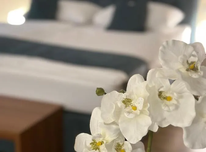 Sweet - A Cozy Welcome Viena